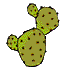 flowering cactus animation